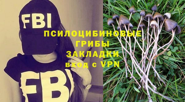 гашик Нижневартовск
