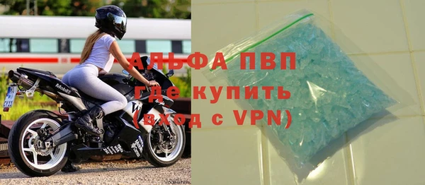 прущие грибы Павловск