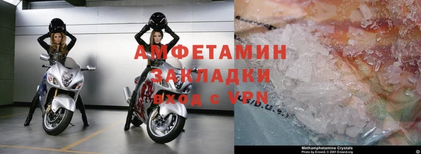 прущие грибы Павловск