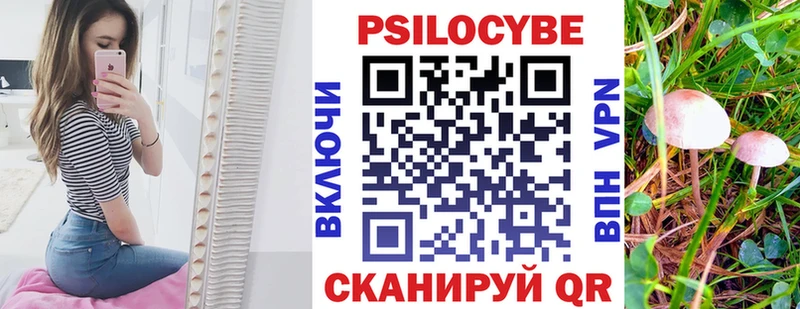 Галлюциногенные грибы мицелий  Аркадак 